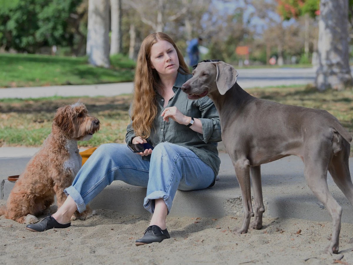 Nightbitch İncelemesi: Anne Olmanın Karanlık&nbsp;Yüzü